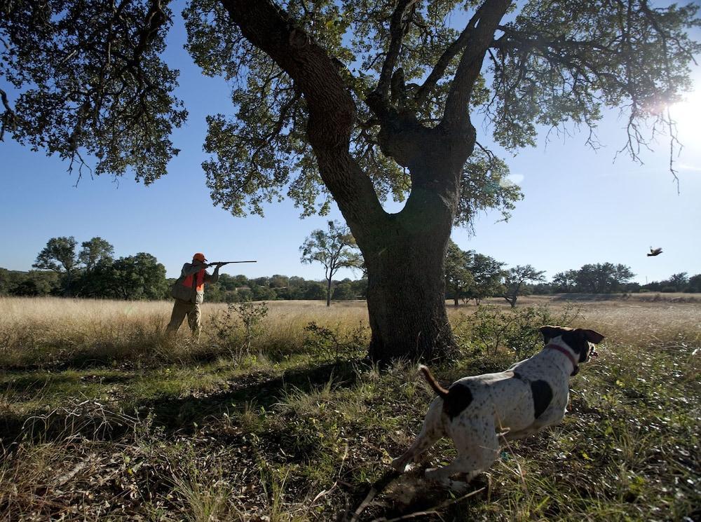 ホテル Joshua Creek Ranch ベルネ エクステリア 写真